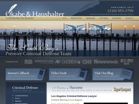 AAA 20791 Los Angeles Criminal Defense Lawyer