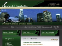 AAA 21134 Los Angeles Drug Defense Lawyer